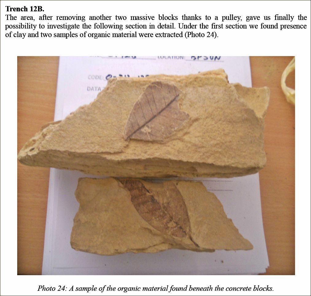 organic material found in between two concrete blocks on the Bosnian Pyramid of the Sun 2012